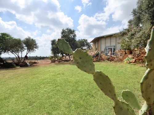 בשביל האושר - סוסים וריינג'ר